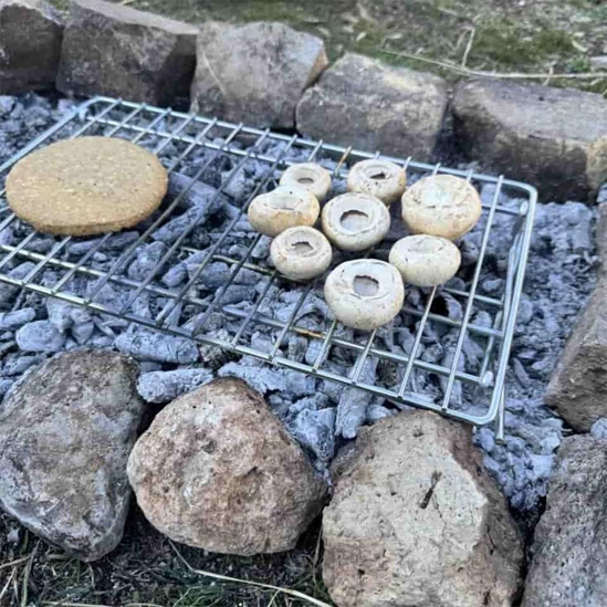 منقل گریل دوکاره بلک رابیت 