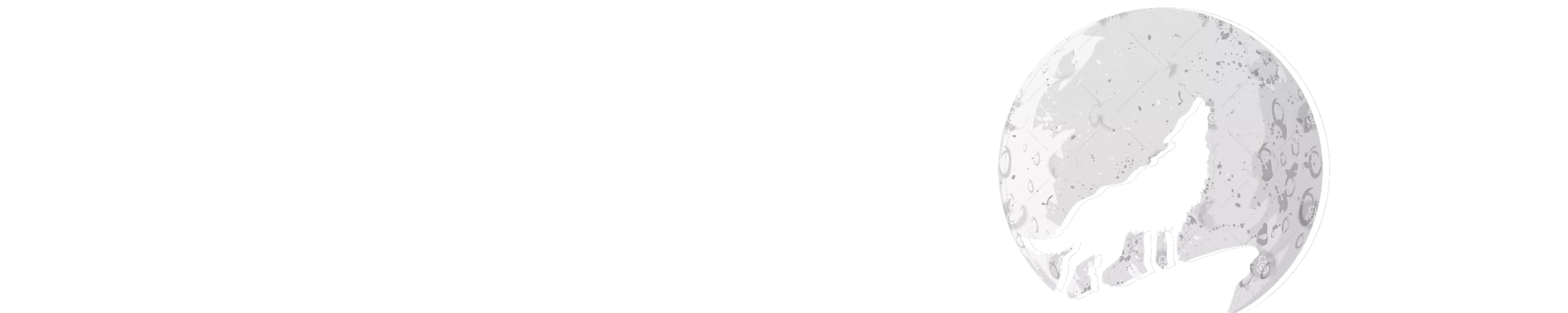 زیمازیست پوشاک و لوازم کوهنوردی